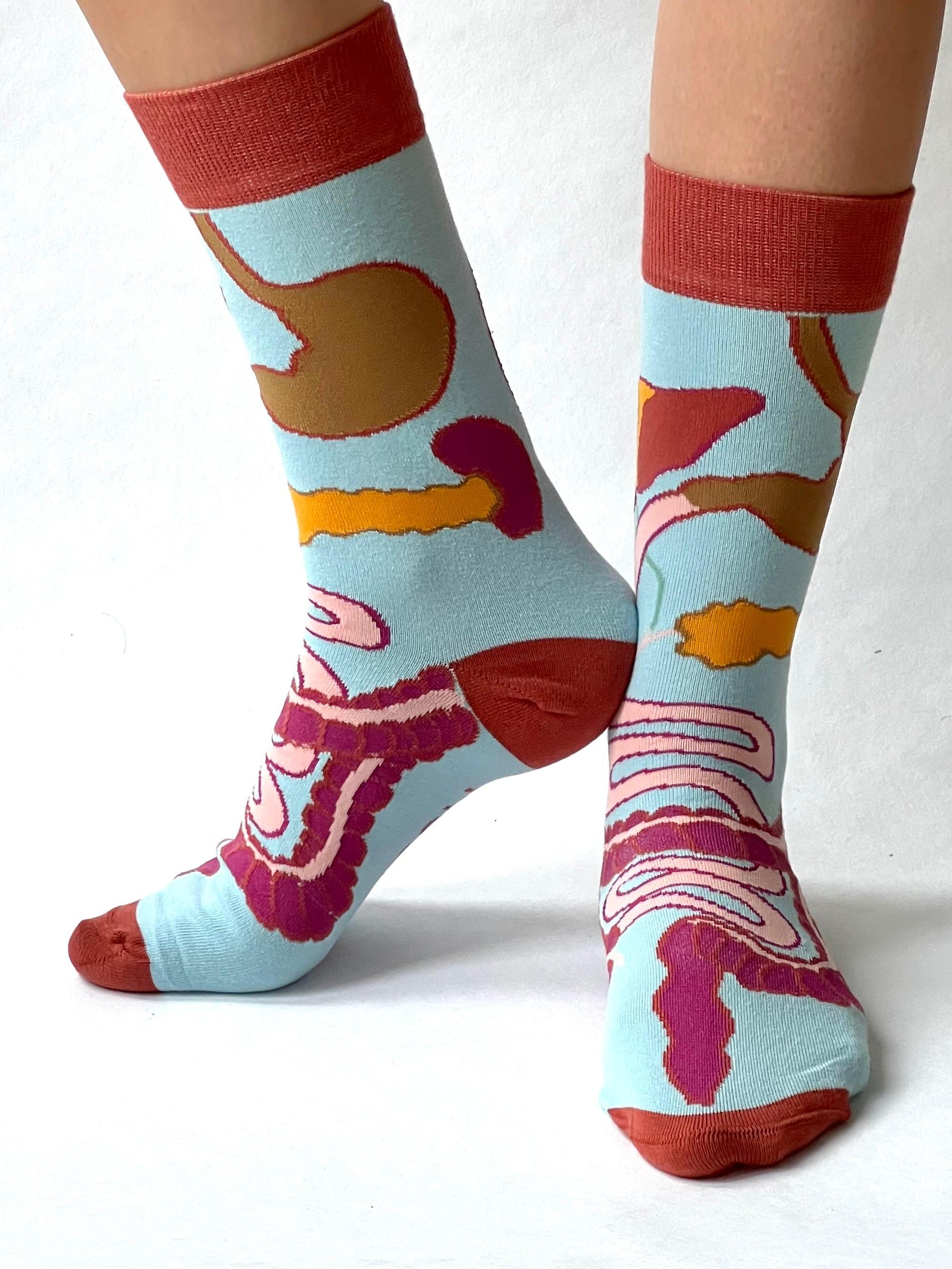 Tractus Digestivus MedSocks