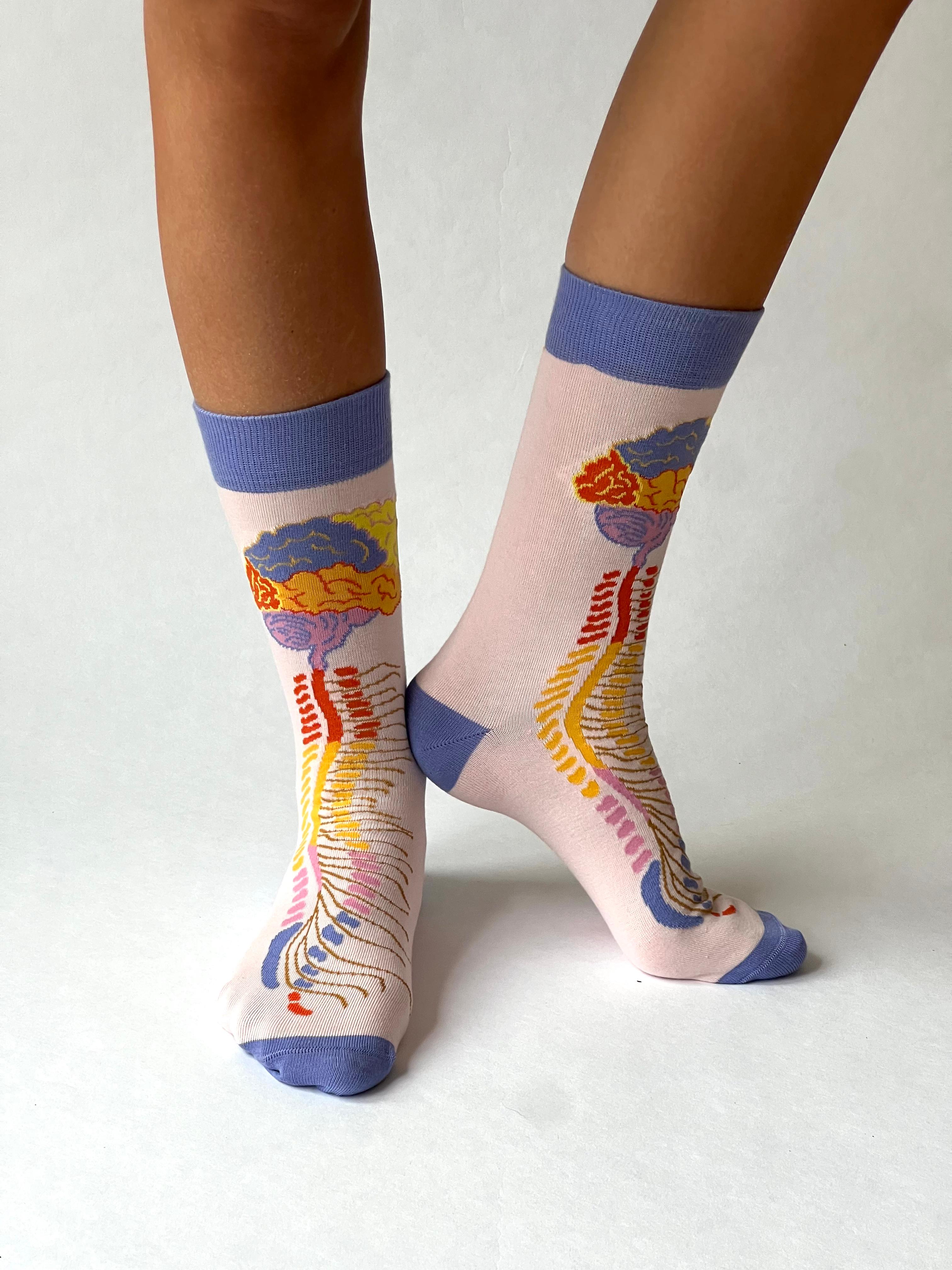 Brein - Centraal Zenuw Stelsel