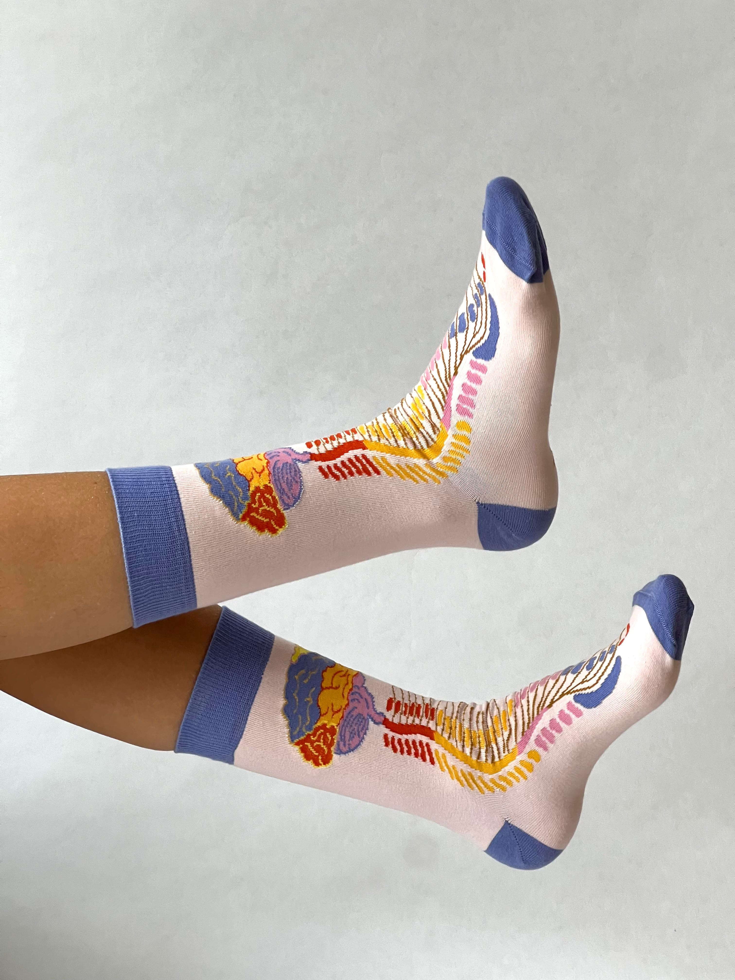 Brein - Centraal Zenuw Stelsel