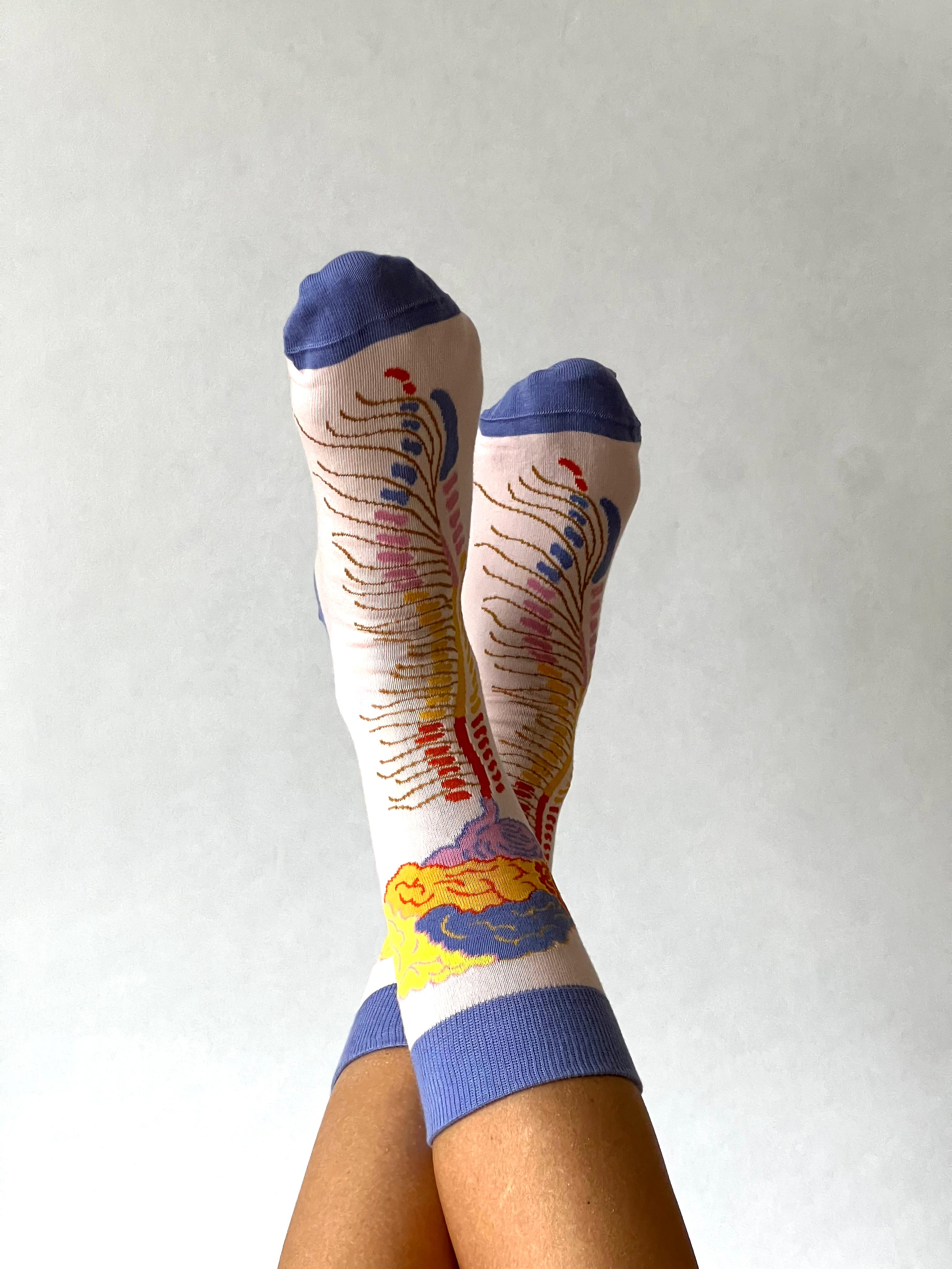 Brein - Centraal Zenuw Stelsel