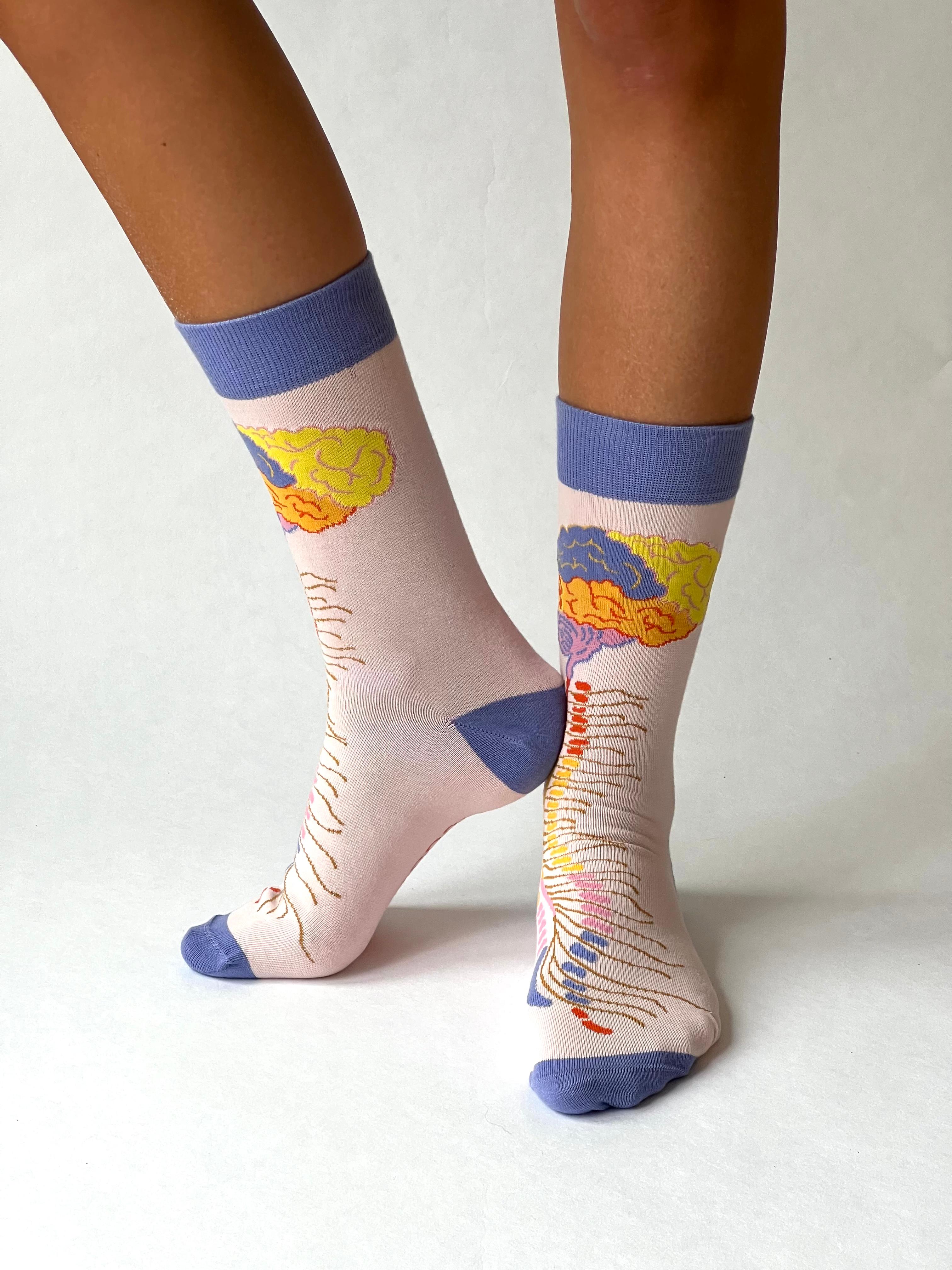 Brein - Centraal Zenuw Stelsel